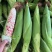 广西横州横县花糯甜糯玉米新摘甜玉米白糯黑糯花甜
