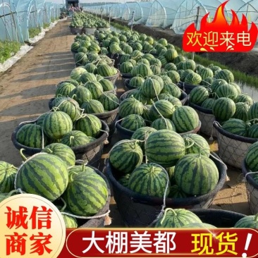 《安徽砀山》美都麒麟瓜/安徽西瓜/包熟包甜/基地代发全国