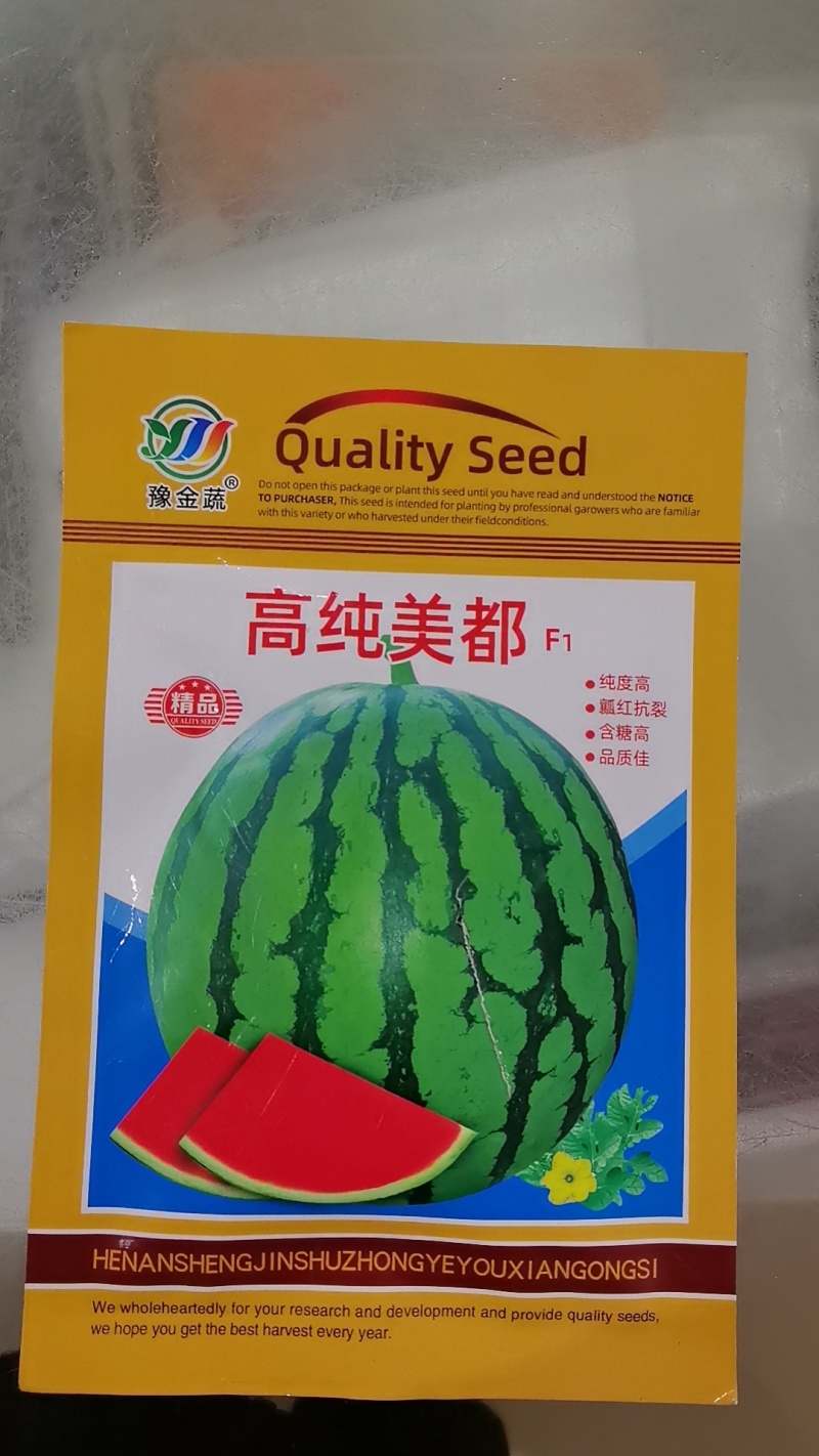 25年5月20日高纯美都嫁接苗浓绿粗壮三叶一芯标准苗