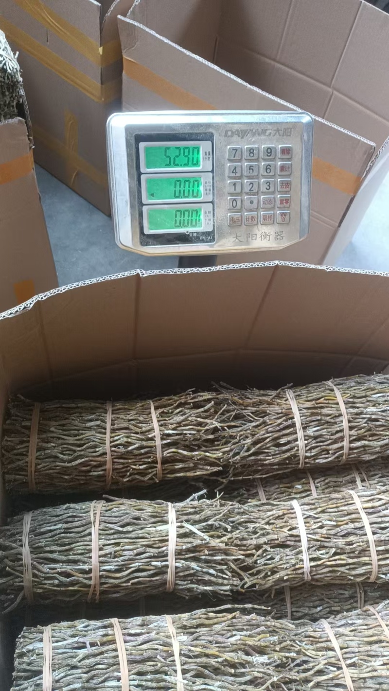 铁皮石斛杆捆条胶质好全化渣