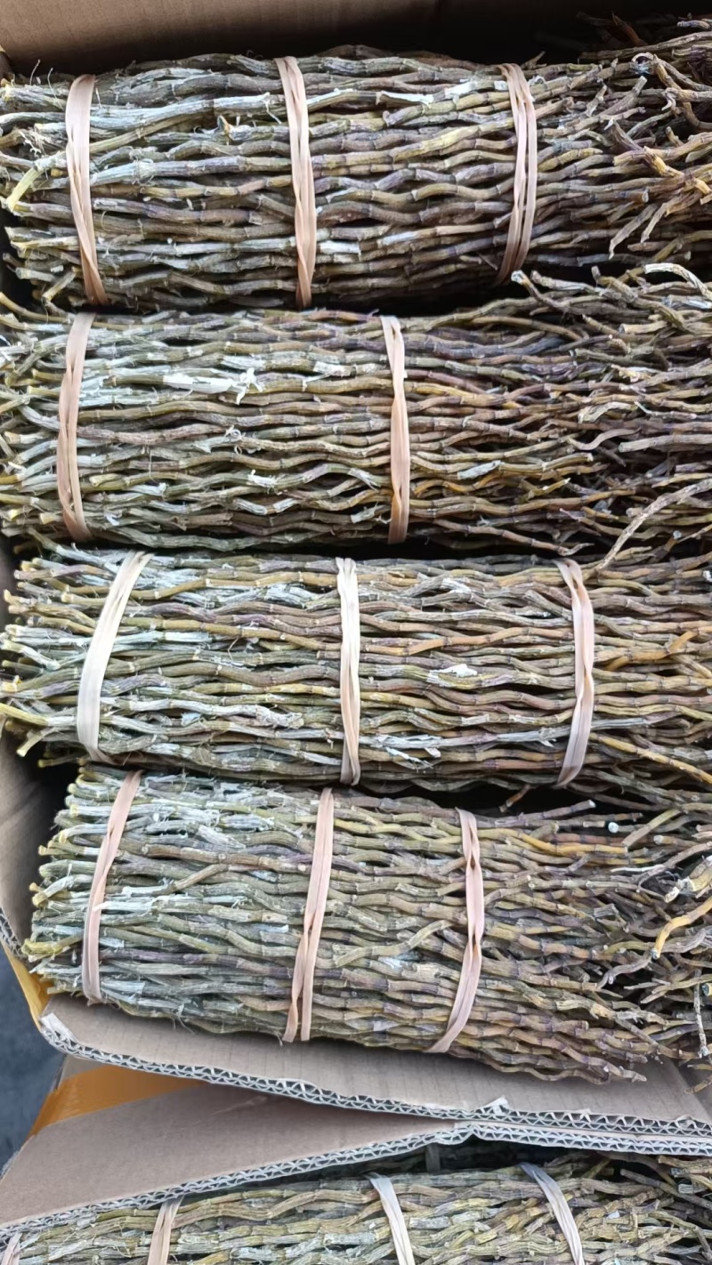 铁皮石斛杆捆条胶质好全化渣