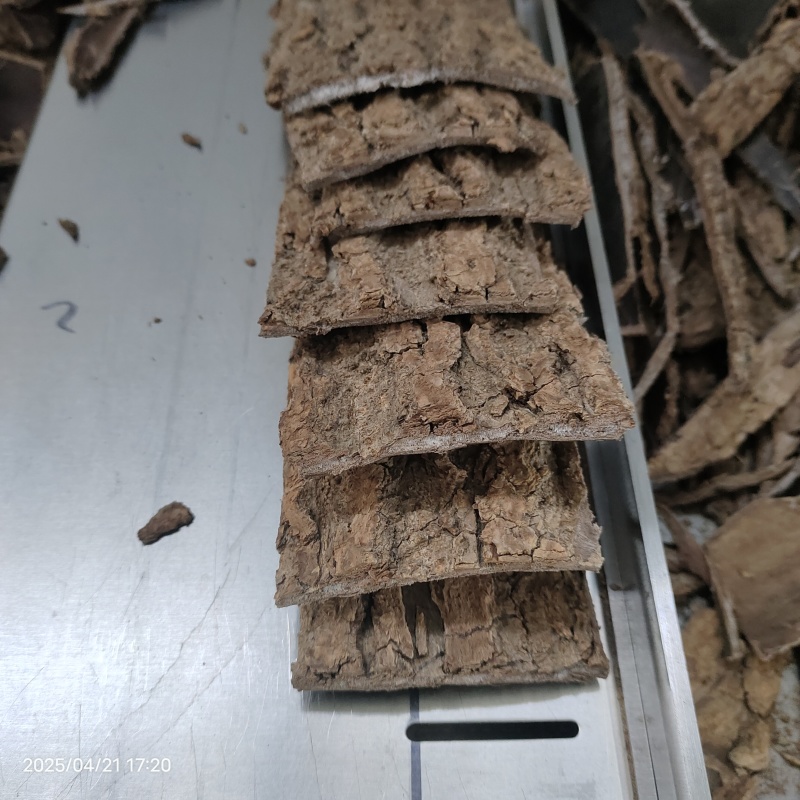 杜仲皮甘肃陇南深山老树杜仲高压清洗自然晾晒产地直供