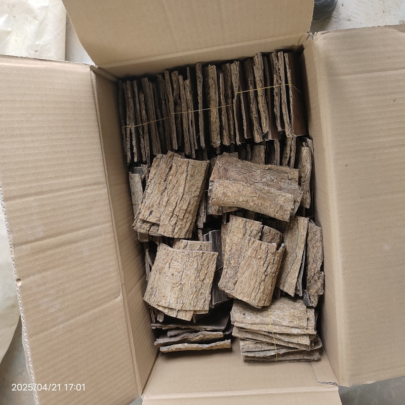 杜仲皮甘肃陇南深山老树杜仲高压清洗自然晾晒产地直供