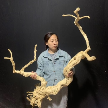 仿真去皮干树枯树室内室外造景软装鸟站架花艺景观