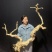 仿真去皮干树枯树室内室外造景软装鸟站架花艺景观