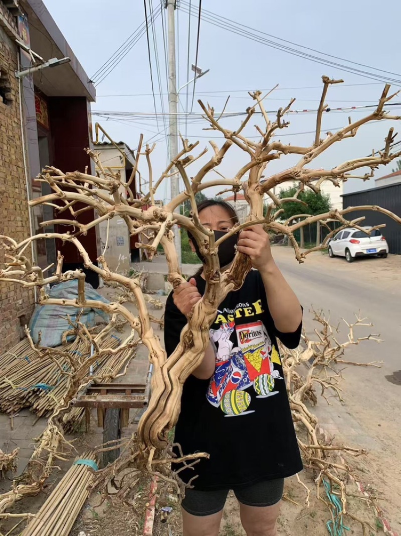 仿真去皮干树枯树室内室外造景软装鸟站架花艺景观