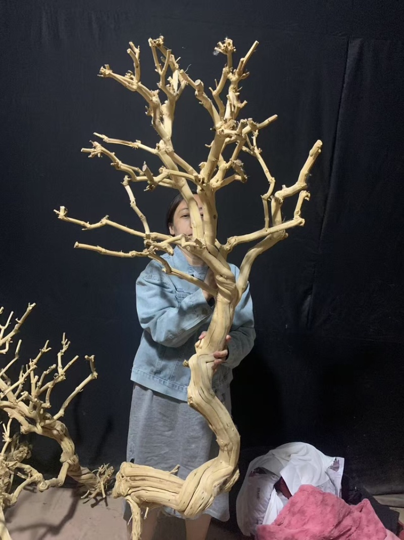 仿真去皮干树枯树室内室外造景软装鸟站架花艺景观