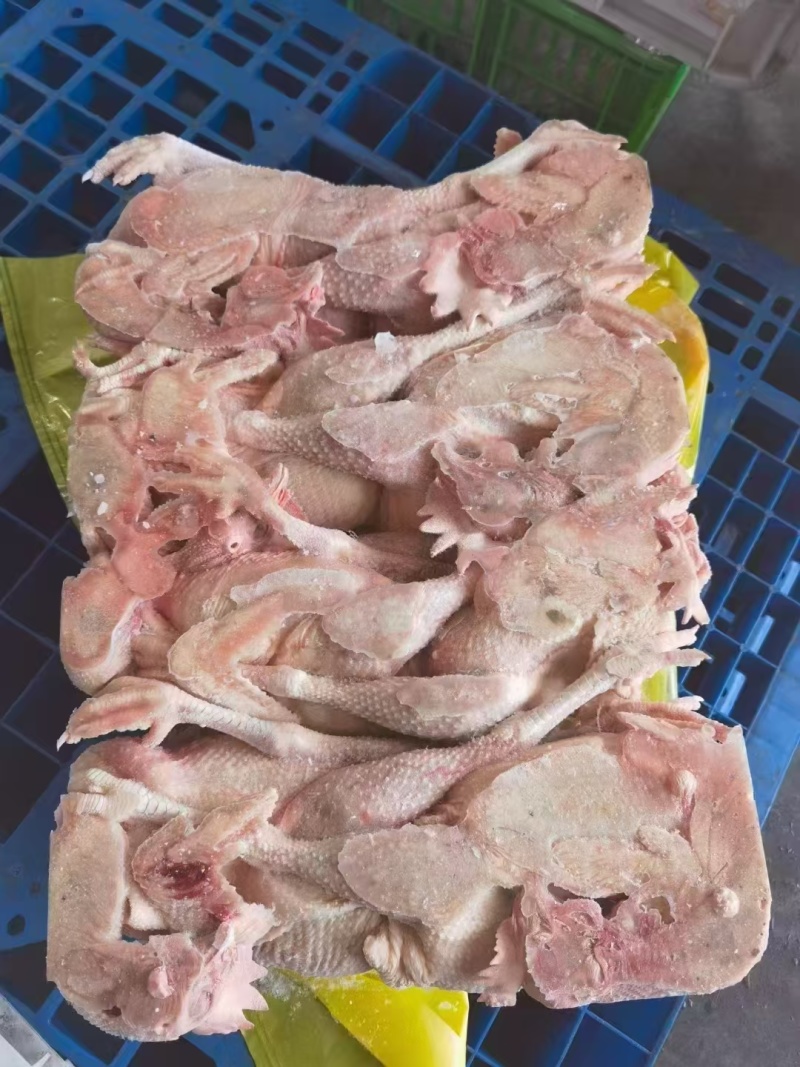 579公鸡白条