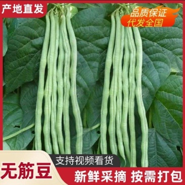 贵州高原无筋豆鲜嫩爽口
