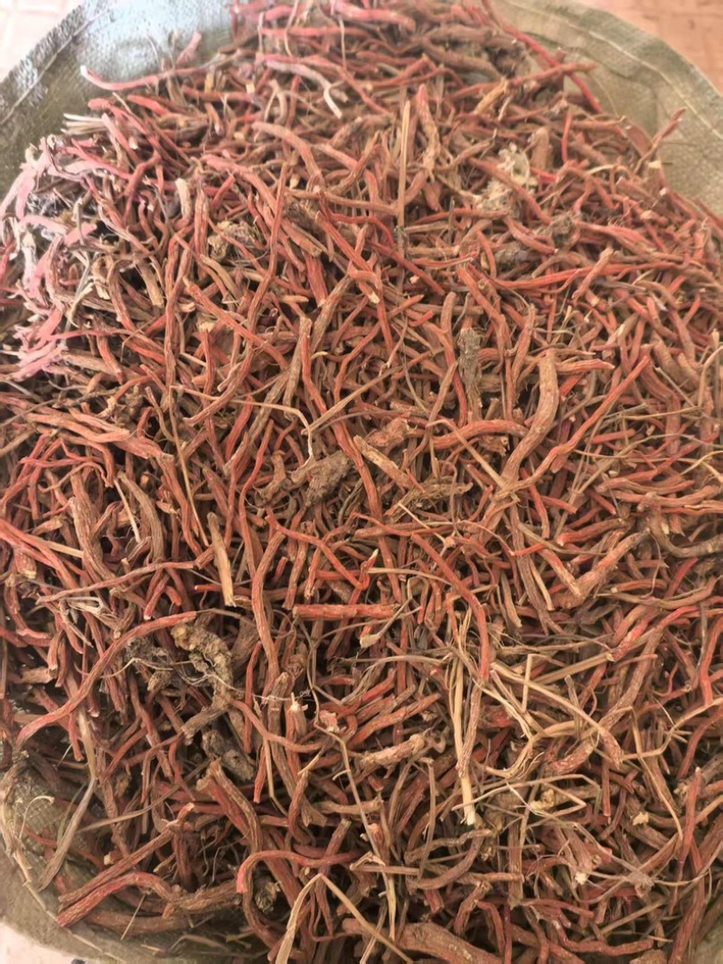 《实力》丹参大量有货可对接药厂品质高可视频看货
