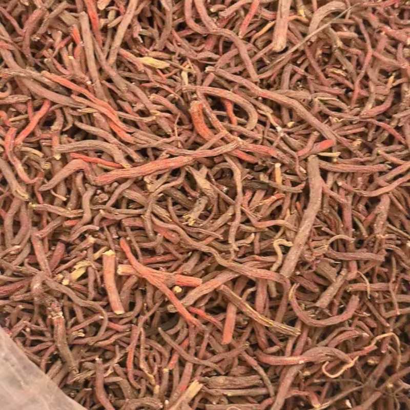 《实力》丹参大量有货可对接药厂品质高可视频看货