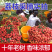 【白糖罂荔枝】广西荔枝/灵山荔枝/产地货源/全国发货