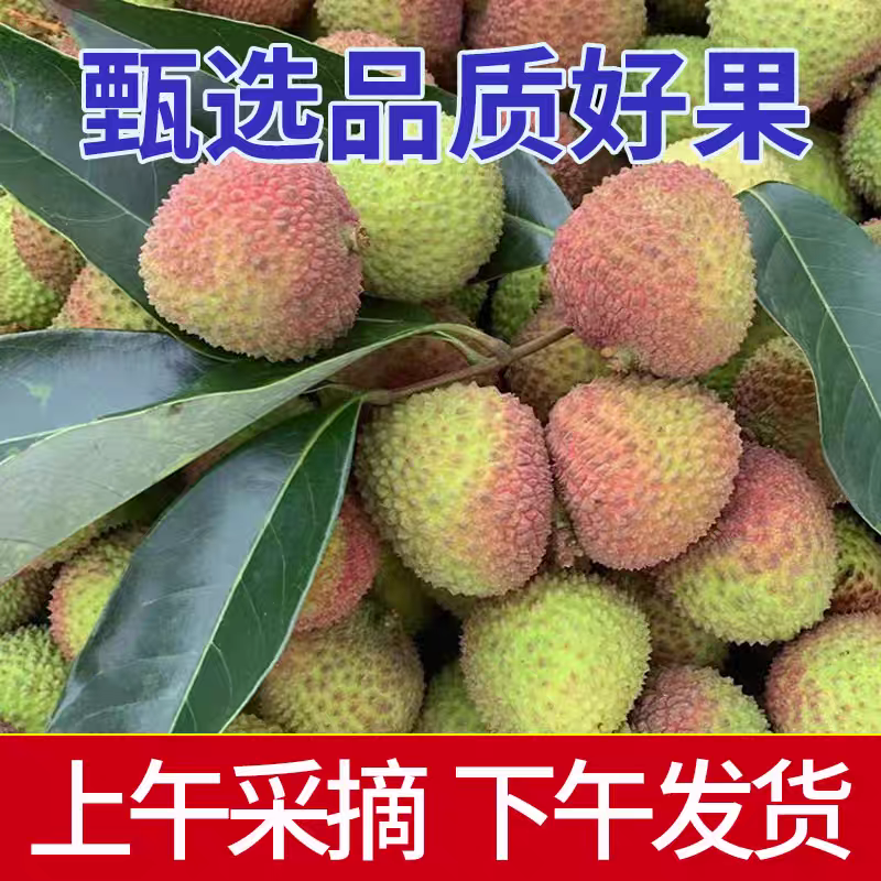【妃子笑荔枝】桂味荔枝/灵山发货/产地直发/全国代收代发