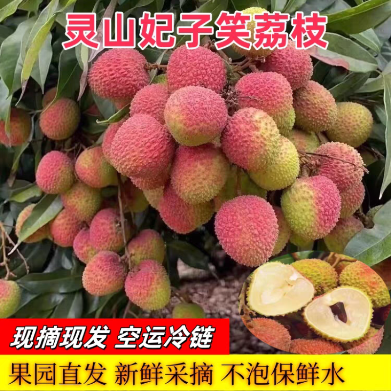 【妃子笑荔枝】桂味荔枝/灵山发货/产地直发/全国代收代发