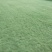 草坪草基地各种草坪草常年供应全国发货