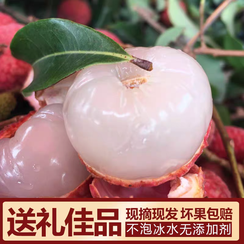 【灵山荔枝】糯米糍荔枝/鸡嘴荔枝/果农直发/全国代收代发