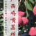 【灵山荔枝】糯米糍荔枝/鸡嘴荔枝/果农直发/全国代收代发