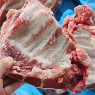 多肉小排