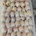 精品小红杏产地直发量大从优质量保证欢迎咨询