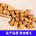 香砂批发中药材香料类批发中药材香料类批发都有欢迎选购批发