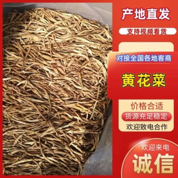 包邮：甘肃箱装农家锅蒸黄花菜（加工2)硬条七蕊，量大价议