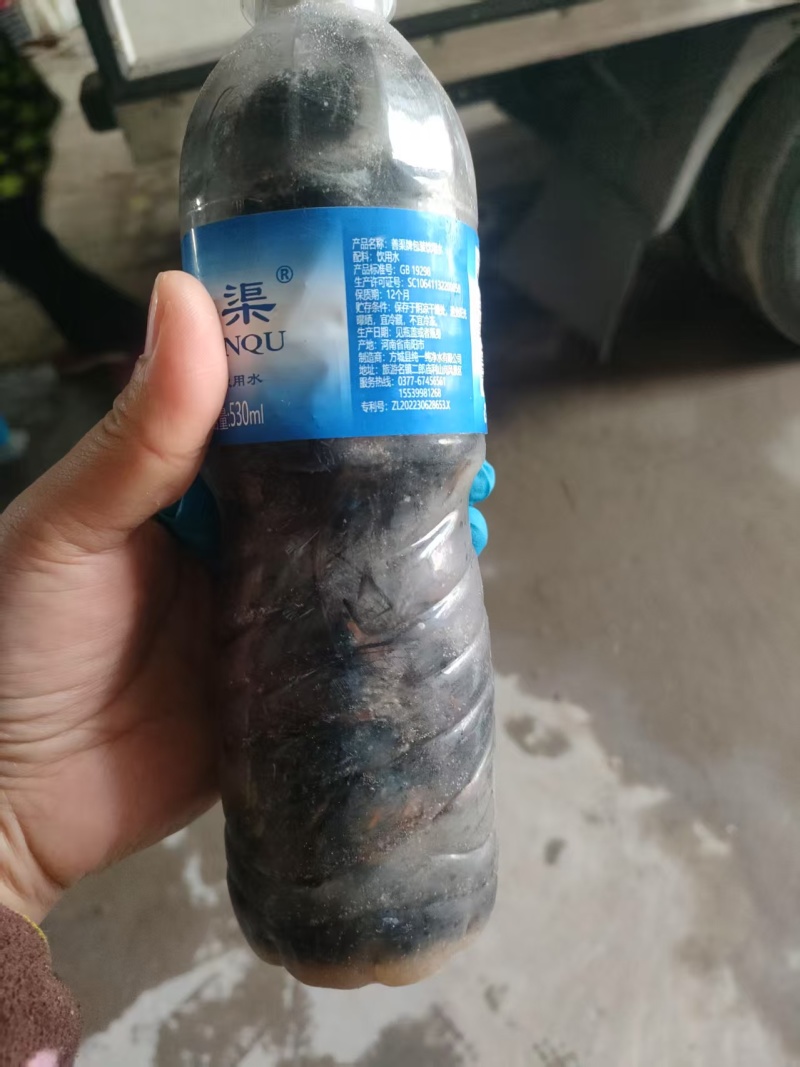 精品黑蝉，自家养殖，可视频看货，量大从优