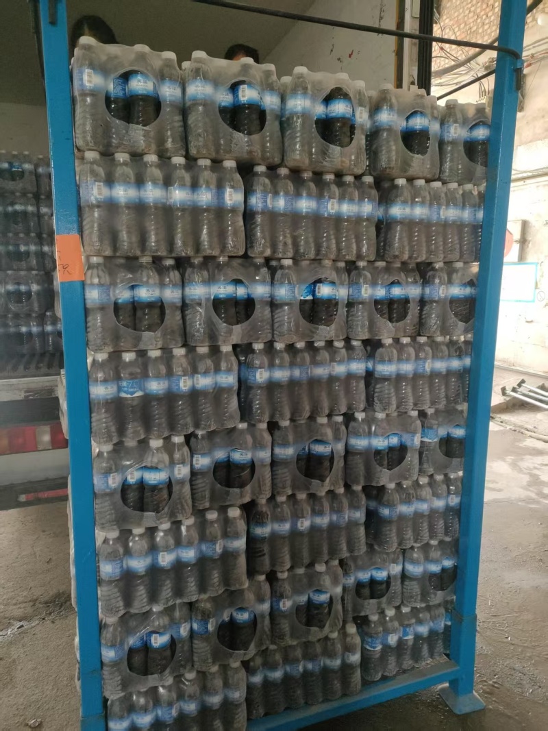 精品黑蝉，自家养殖，可视频看货，量大从优