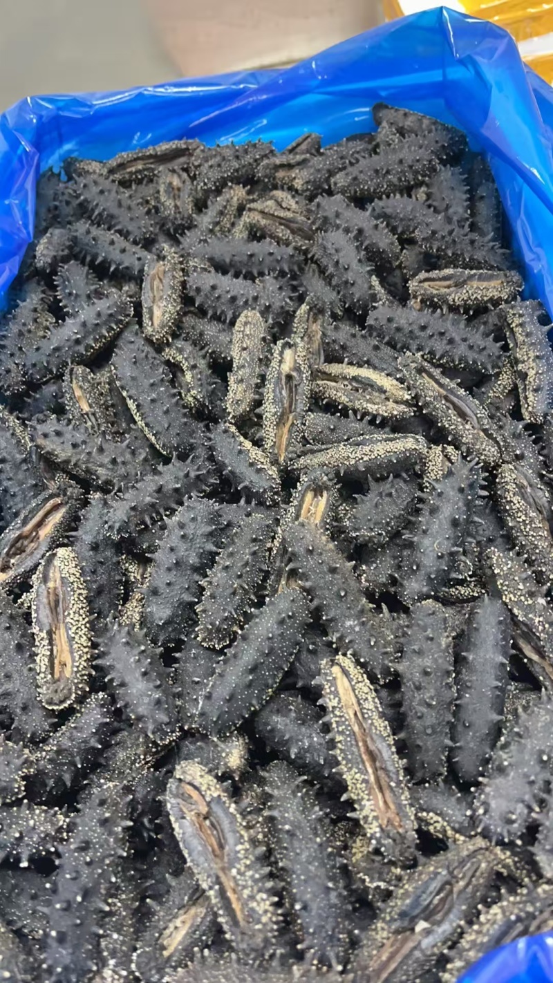 大连辽参多种工艺品种齐全！产地批发价格！品质保证