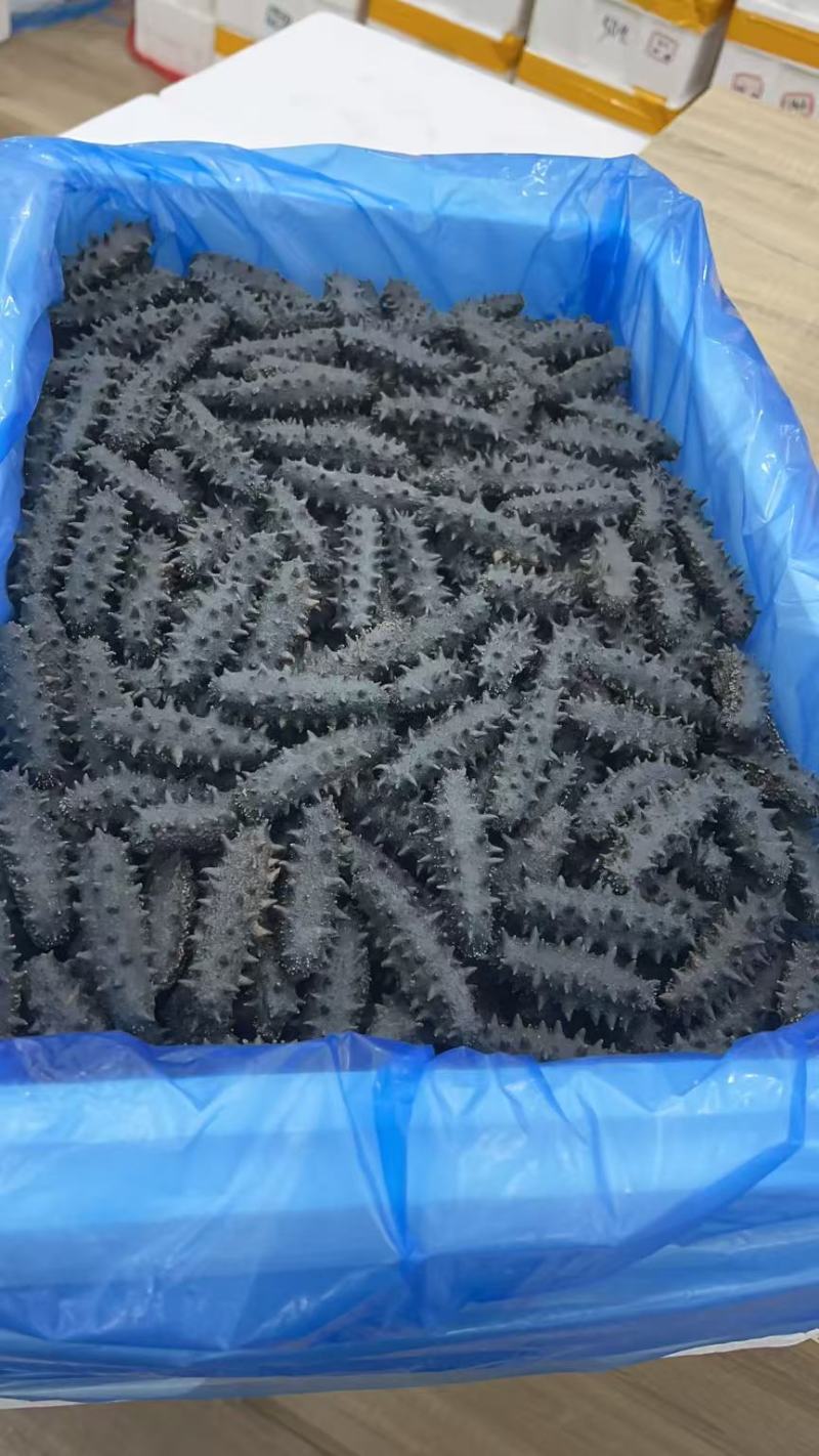 大连辽参多种工艺品种齐全！产地批发价格！品质保证