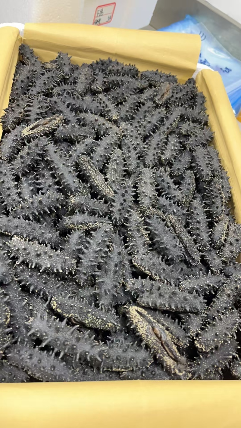 大连辽参多种工艺品种齐全！产地批发价格！品质保证