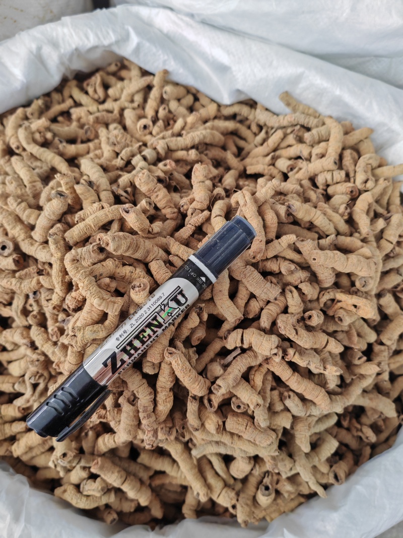 巴戟天