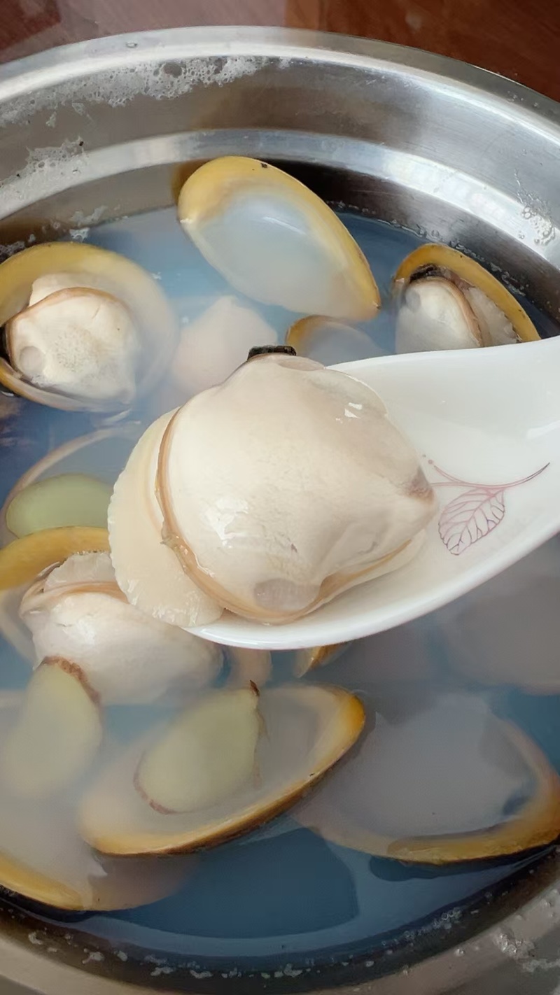 特大黄金蚬