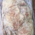 小牛排