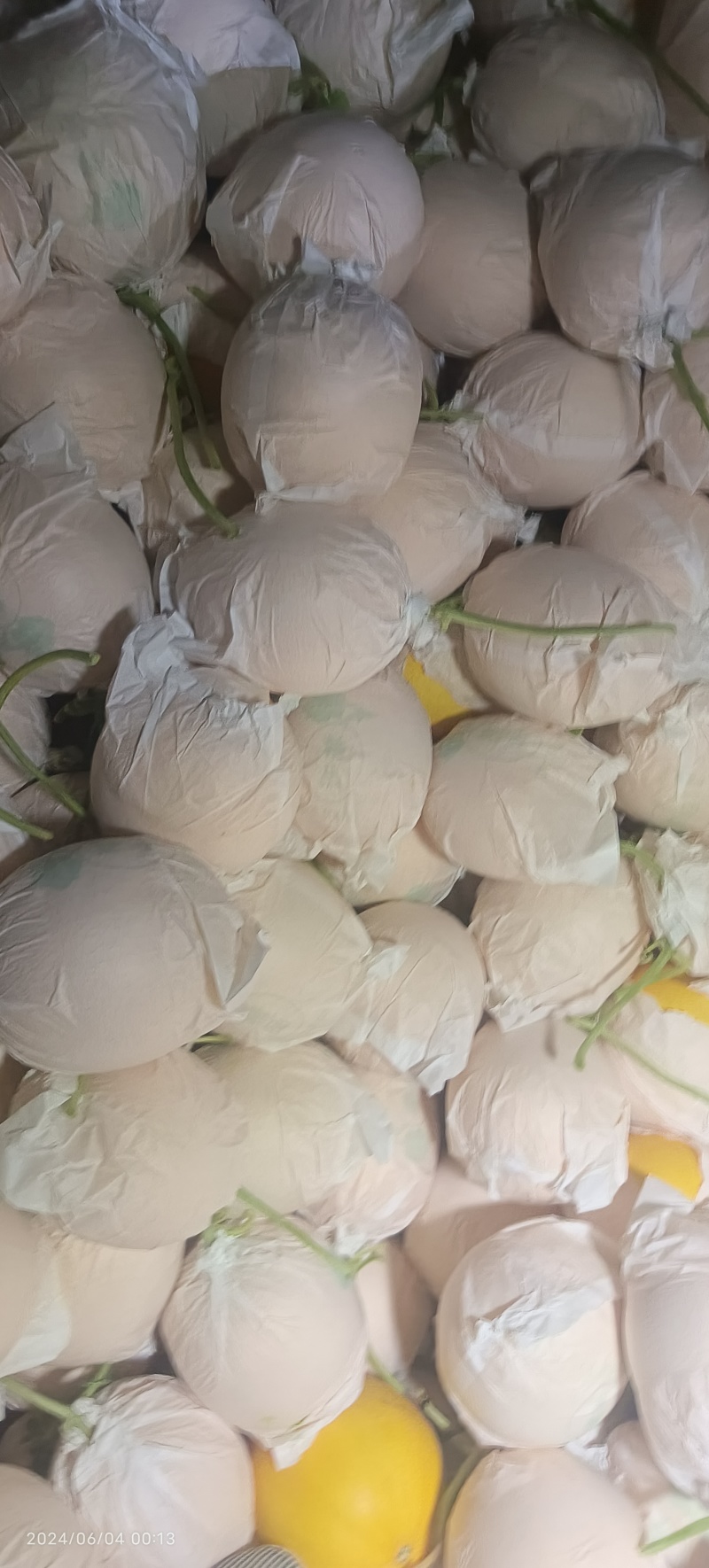 廊坊久红瑞甜瓜3斤以上精品