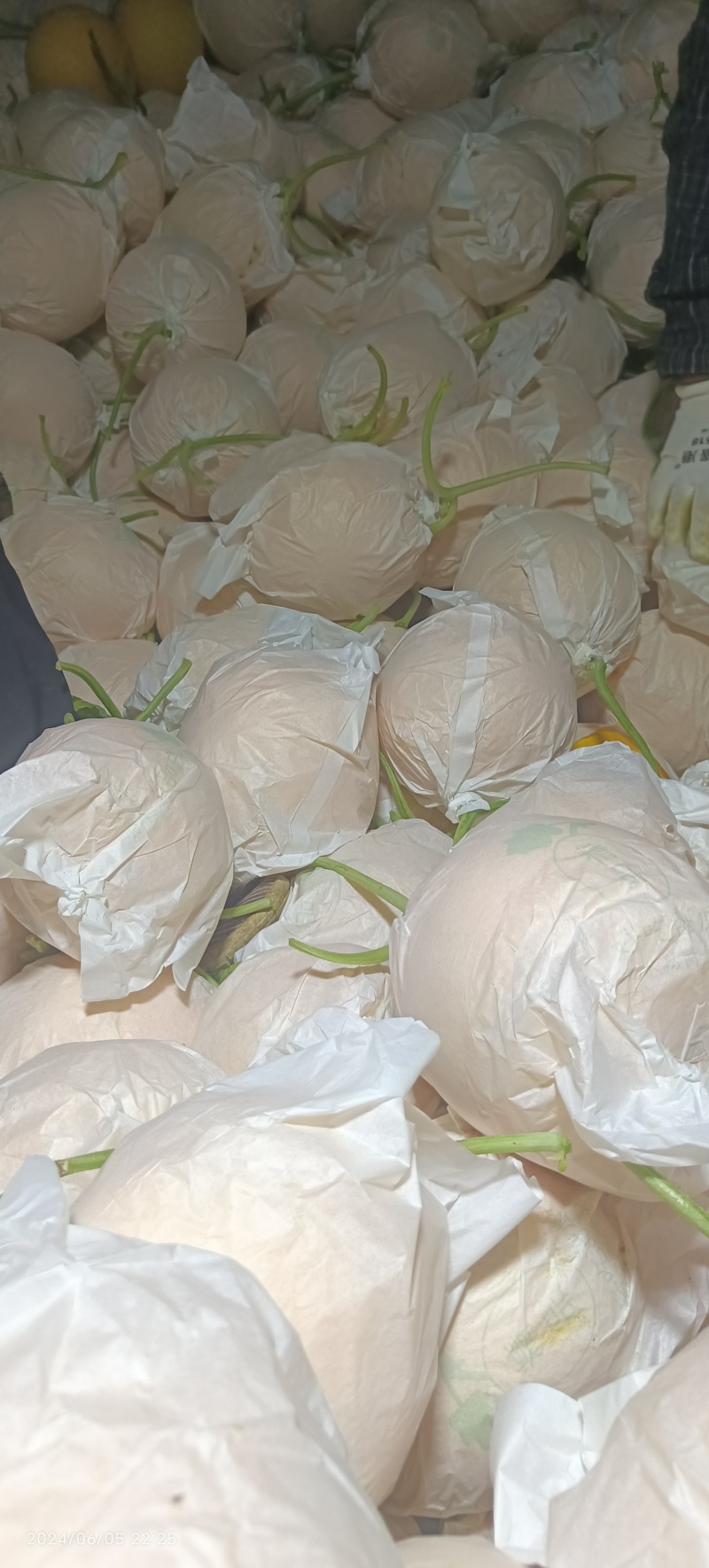 廊坊久红瑞甜瓜3斤以上精品