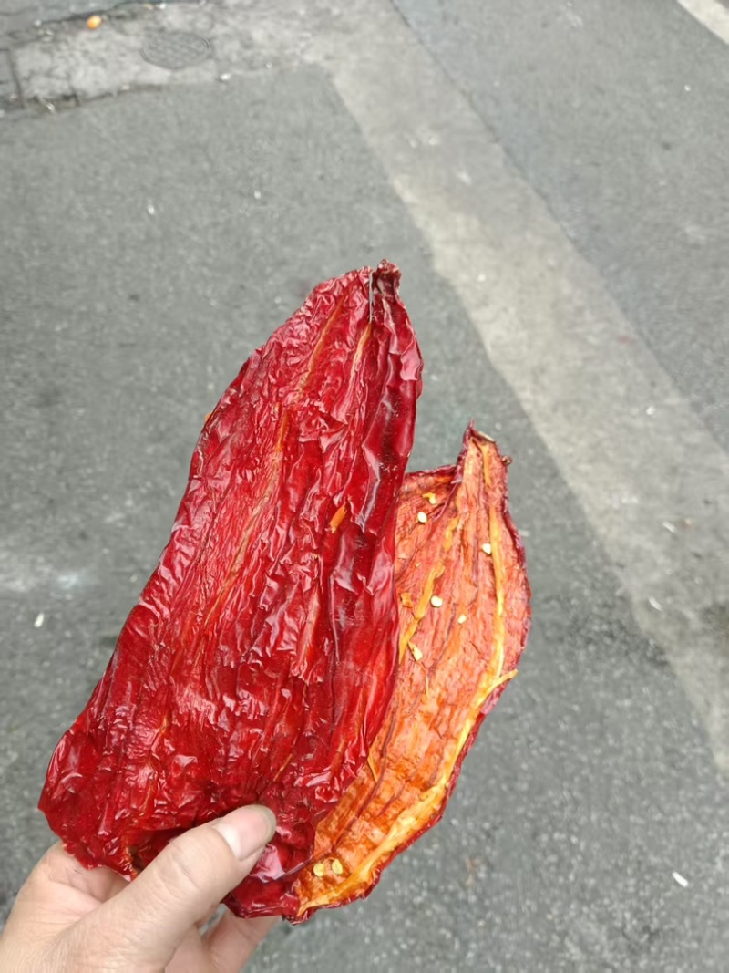湖南干韩椒片大量有货微辣特香品质优可视频看货