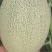 西洲蜜25号凤金6号