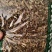薄荷叶精选新货薄荷叶中药材全薄荷段天然无硫散装批发