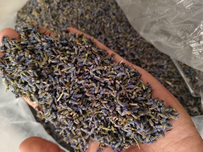 薰衣草干货薰衣草花新货香味浓天然***散装批发