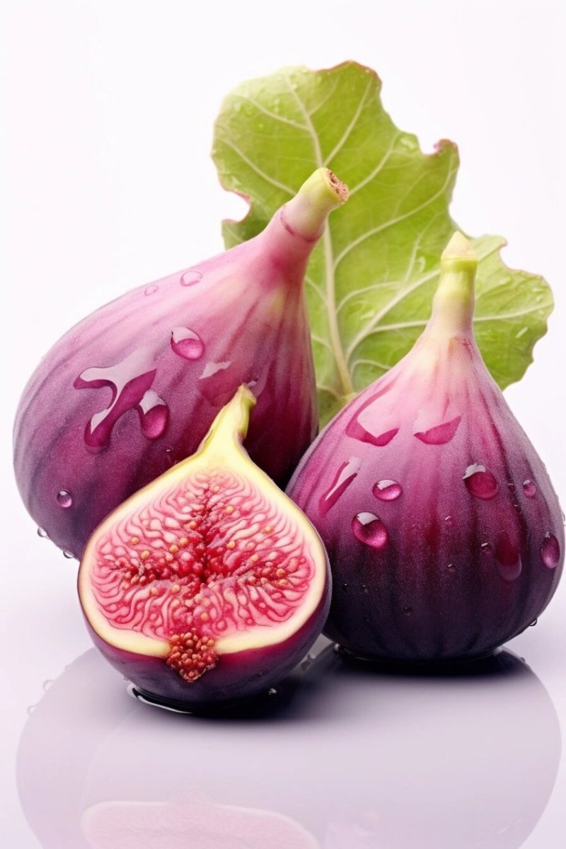 冬季无花果