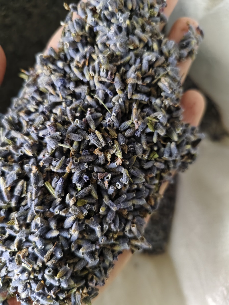 薰衣草干货薰衣草花新货香味浓天然***散装批发