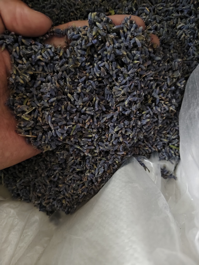 薰衣草干货薰衣草花新货香味浓天然***散装批发