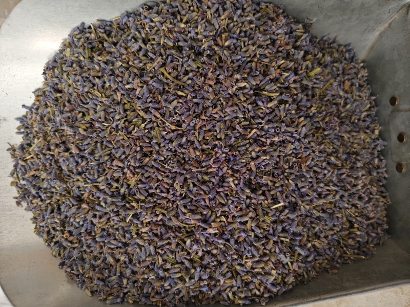 薰衣草干货薰衣草花新货香味浓天然***散装批发