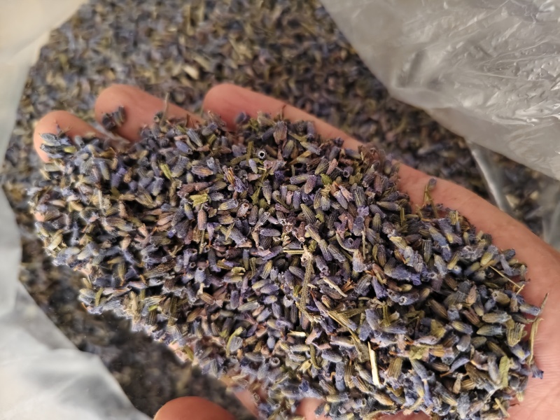 薰衣草干货薰衣草花新货香味浓天然***散装批发