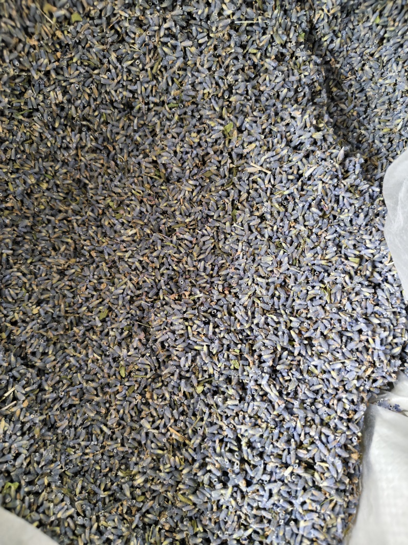 薰衣草干货薰衣草花新货香味浓天然***散装批发