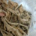 湖南揪耳菜新鲜口感佳原产地直发可视频看货