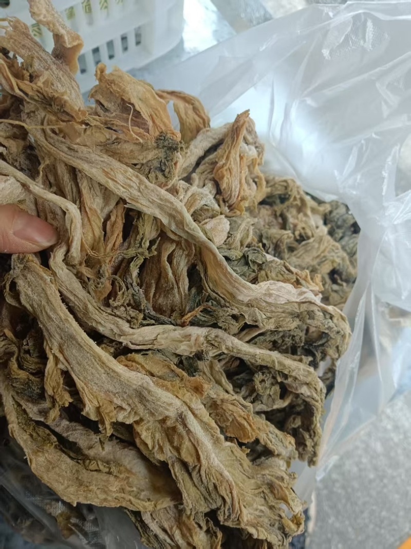 湖南揪耳菜新鲜口感佳原产地直发可视频看货