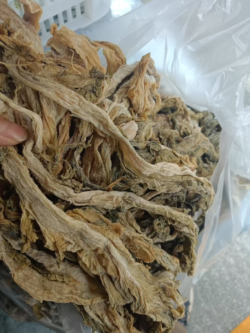 湖南揪耳菜新鲜口感佳原产地直发可视频看货