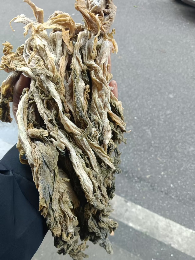 湖南揪耳菜新鲜口感佳原产地直发可视频看货