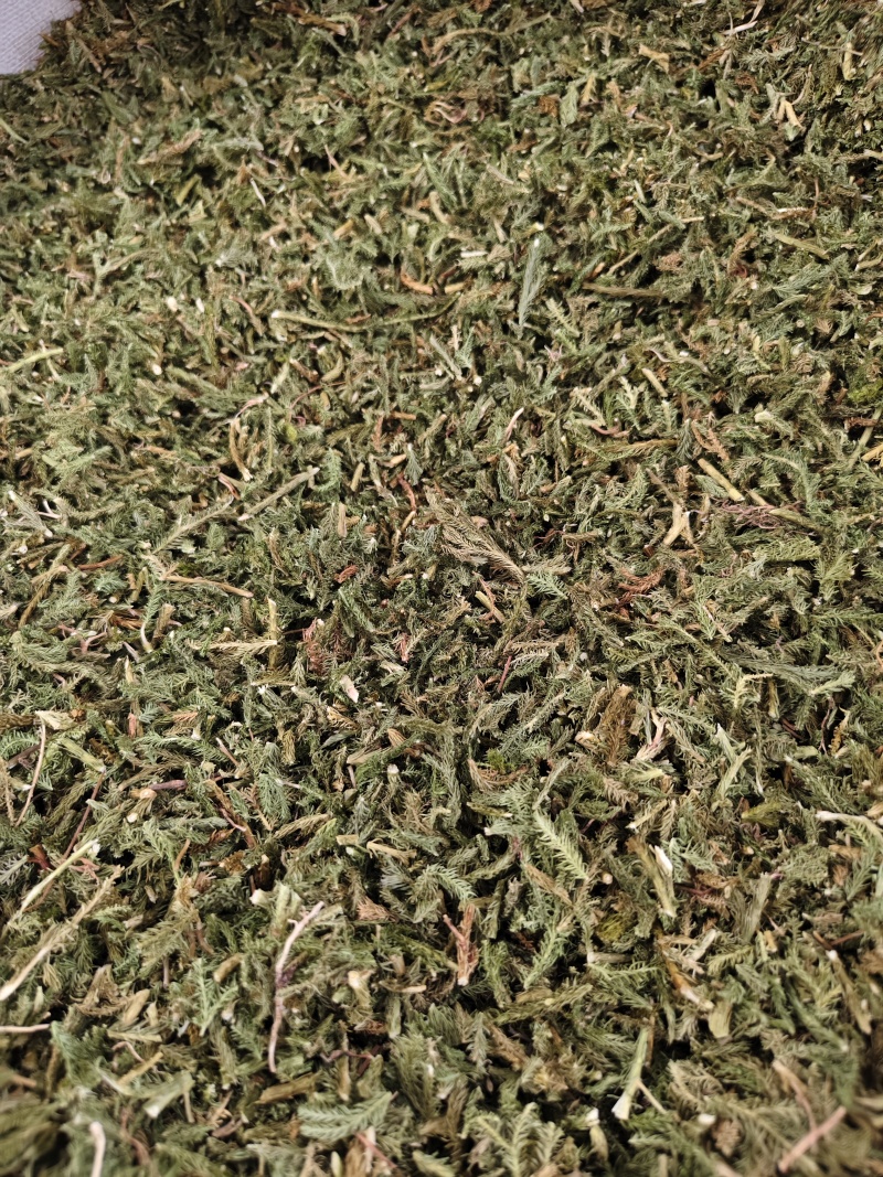 伸筋草野生伸筋草正品中药材无硫新货除尘去沫干净